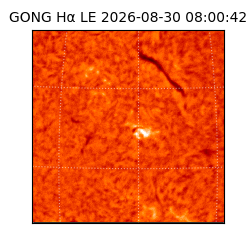 gong - 2026-08-30T08:00:42