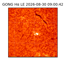 gong - 2026-08-30T09:00:42