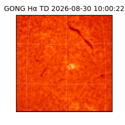 gong - 2026-08-30T10:00:22