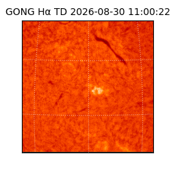 gong - 2026-08-30T11:00:22