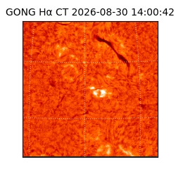 gong - 2026-08-30T14:00:42