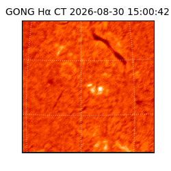 gong - 2026-08-30T15:00:42