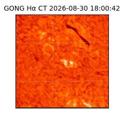 gong - 2026-08-30T18:00:42