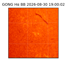 gong - 2026-08-30T19:00:02