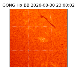 gong - 2026-08-30T23:00:02