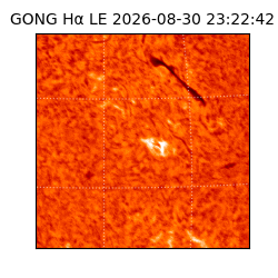 gong - 2026-08-30T23:22:42