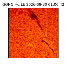 gong - 2026-08-30T01:00:42