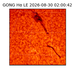gong - 2026-08-30T02:00:42
