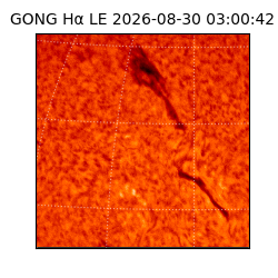 gong - 2026-08-30T03:00:42