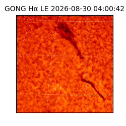 gong - 2026-08-30T04:00:42
