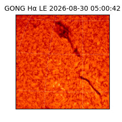 gong - 2026-08-30T05:00:42