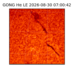 gong - 2026-08-30T07:00:42