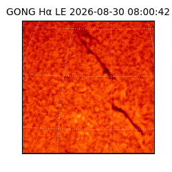 gong - 2026-08-30T08:00:42