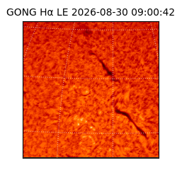 gong - 2026-08-30T09:00:42