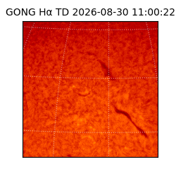 gong - 2026-08-30T11:00:22