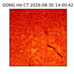 gong - 2026-08-30T14:00:42