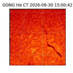 gong - 2026-08-30T15:00:42