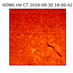 gong - 2026-08-30T16:00:42