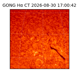 gong - 2026-08-30T17:00:42