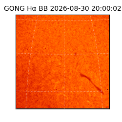 gong - 2026-08-30T20:00:02