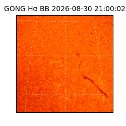 gong - 2026-08-30T21:00:02