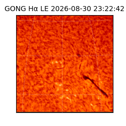 gong - 2026-08-30T23:22:42