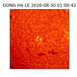 gong - 2026-08-30T01:00:42