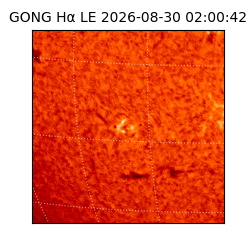 gong - 2026-08-30T02:00:42