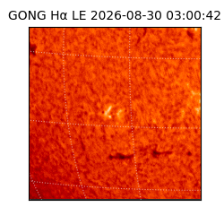 gong - 2026-08-30T03:00:42