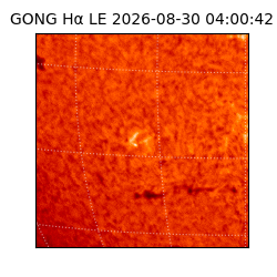 gong - 2026-08-30T04:00:42