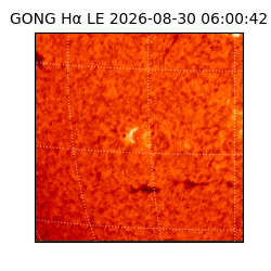 gong - 2026-08-30T06:00:42