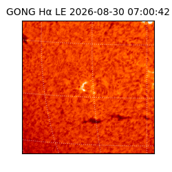 gong - 2026-08-30T07:00:42