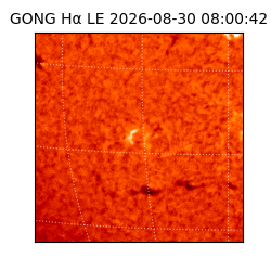 gong - 2026-08-30T08:00:42