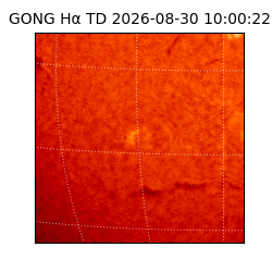gong - 2026-08-30T10:00:22