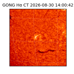 gong - 2026-08-30T14:00:42