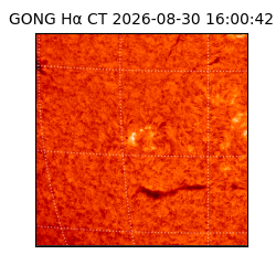 gong - 2026-08-30T16:00:42