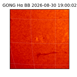 gong - 2026-08-30T19:00:02