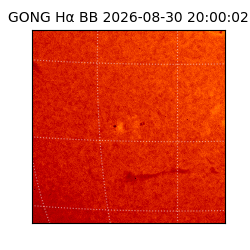 gong - 2026-08-30T20:00:02