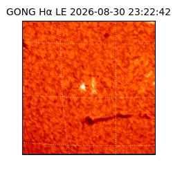 gong - 2026-08-30T23:22:42