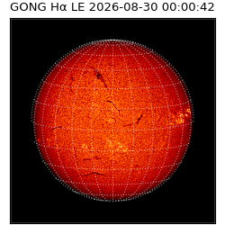 gong - 2026-08-30T00:00:42