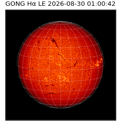 gong - 2026-08-30T01:00:42