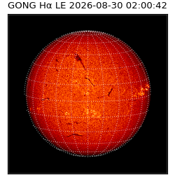 gong - 2026-08-30T02:00:42