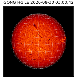 gong - 2026-08-30T03:00:42