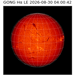 gong - 2026-08-30T04:00:42