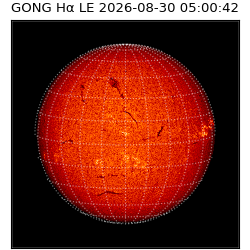 gong - 2026-08-30T05:00:42