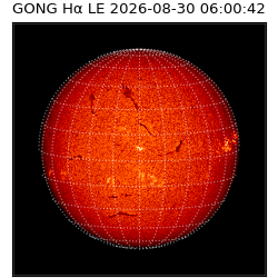 gong - 2026-08-30T06:00:42