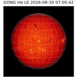 gong - 2026-08-30T07:00:42