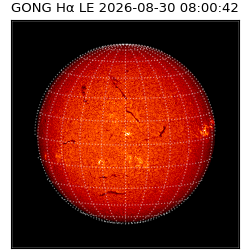 gong - 2026-08-30T08:00:42