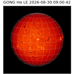 gong - 2026-08-30T09:00:42