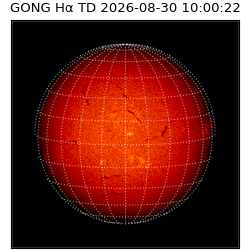 gong - 2026-08-30T10:00:22